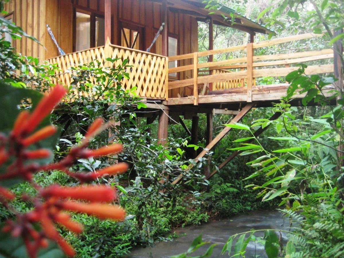 Yasí Yateré Reserva Agroecológica El Soberbio Exterior foto