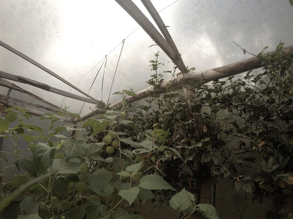 Yasí Yateré Reserva Agroecológica El Soberbio Exterior foto