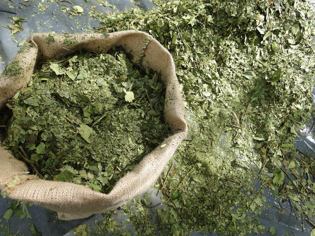 Yasí Yateré Reserva Agroecológica El Soberbio Exterior foto